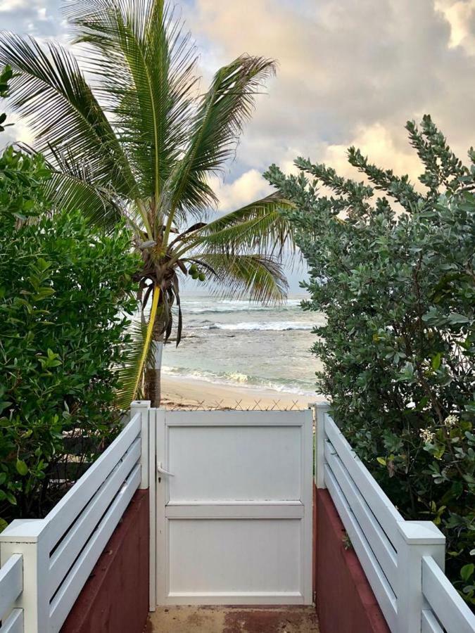 Appartement Au Bord De Mer Le Moule Εξωτερικό φωτογραφία